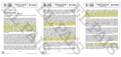 In this multi-page letter, Captain Paula Andrea Russi denounces inappropriate behavior by the bodyguards assigned to Sofía Petro.