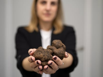 Mujeres emprendedoras en Soria