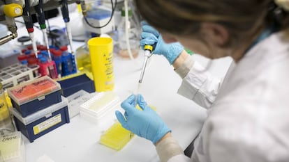 Una investigadora en un laboratorio del Centro de Regulaci&oacute;n Gen&oacute;mica de Barcelona 