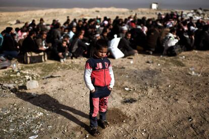 Desplazados iraquíes de la ciudad de Mosul (Irak).