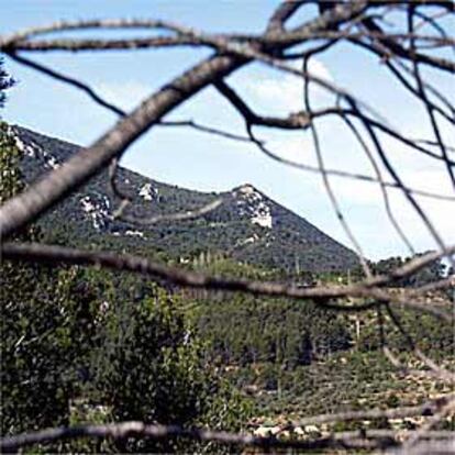 Vista del parque de la Font Roja.