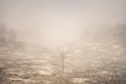 El paisaje envuelto en cenizas. Miércoles 25 de septiembre de 2024, San Marcos.