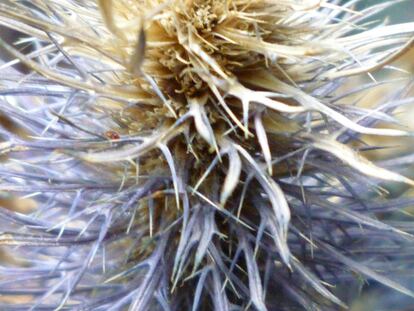 La presidencia española se complica