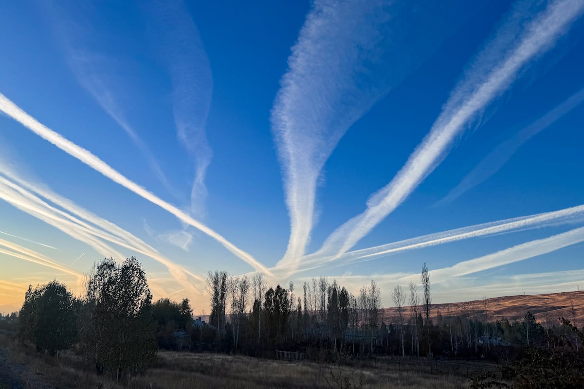 Conspiraciones, terraplanismo y vacunas con chips: cómo nuestras experiencias alimentan creencias imposibles