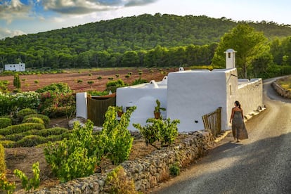 Un camino a las afueras de la localidad de Santa Agnès, al norte de Ibiza.