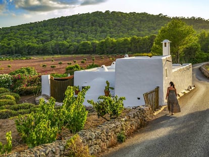 Un camino a las afueras de la localidad de Santa Agnès, al norte de Ibiza. 