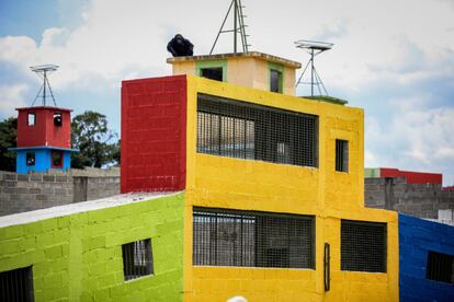 En Sorocaba, los chimpancés viven en una especie de fortaleza construida con muros de cemento, dividida en diferentes compartimentos en los que habitan los ejemplares del mismo grupo.