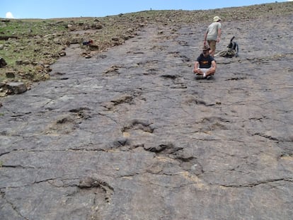 Sebastián Apesteguía, antropólogo argentino, descansa cerca de las huellas de un pequeño dinosaurio terópodo en la localidad de Niñu Mayu, en el departamento de Chuquisaca (Bolivia).