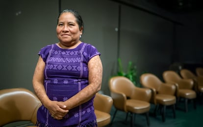 La abogada, activista y lideresa indígena Felicitas Martínez Solano.