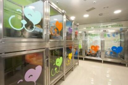 La 'guardería' de mascotas de la tienda de El Corte Inglés instalada dentro del centro de Princesa (Madrid)