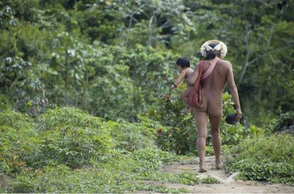 Mulher indígena da etnia Zo'é carrega sua criança na Terra Indígena Zo'é, no Pará.