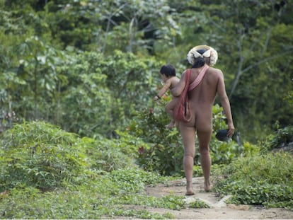 Mulher indígena da etnia Zo'é carrega sua criança na Terra Indígena Zo'é, no Pará.