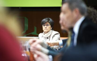 Belén Greaves, al fondo, durante su comparecencia en el Parlamento.