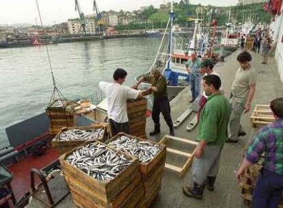 Un grupo de <b><i>arrantzales</b></i> descargan anchoa en la lonja de Pasaia.