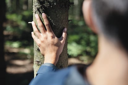 Todos los envases de cartón de la compañía ya se fabrican con papel procedente de bosques gestionados de forma responsable, certificado con el sello FSC®.