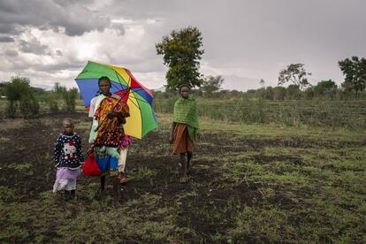 A finales de noviembre de 2021, las lluvias regresaron a la franja central de Isiolo (en el corazón del país) después de tres años. Pero en Kenia no llueve sobre mojado y las precipitaciones erráticas en las estaciones húmedas son insuficientes. Lo fueron entonces y lo están siendo ahora. No hay agua para las bestias, ni las personas, ni el campo. El Centro de Predicciones Climáticas para África del Este estima que 1,4 millones de cabezas de ganado perecieron el año pasado por la sequía en solo 15 de los 23 condados que confirman las tierras áridas. El inicio retrasado de la estación de lluvias de octubre a noviembre de 2021 interrumpió además la temporada típica de siembra. Y la actual época de lluvias también está fallando.