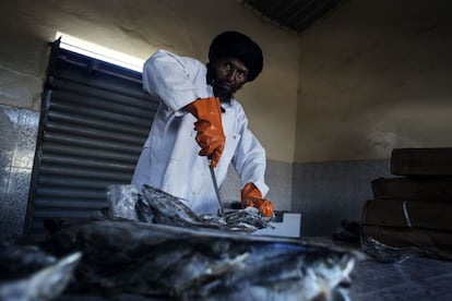 Un proyecto de la AECID contribuye a luchar contra la inseguridad alimentaria llevando el pescado hasta la población más vulnerable del interior de Mauritania. El incremento en el número de cámaras frías y la compra de camiones adecuados ha permitido pasar de 19 a 36 toneladas diarias de pescado repartidas a los puntos de distribución o pescaderías. Musa, pescadero en el barrio de Toujounine a las afueras de Nuakchot, separa el género congelado que repartirá esa mañana en el marco de este programa.