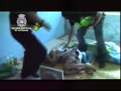 Cae una banda de 'piratas audiovisuales'