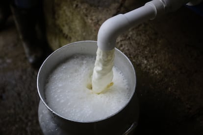 A Jorge Cavelier, fundador de la empresa, le preocupaban los riesgos de que la gente consumiera leche cruda en lugar de pasteurizada.