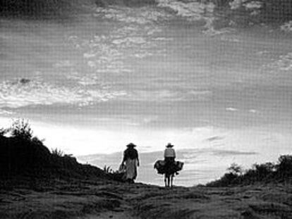 <i>Arrieros en un camino</i>, fotografía de Juan Rulfo.