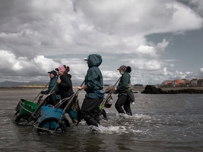 Las mujeres de Cambados idearon un ingenioso carrito para transportar los aperos y el marisco; antes lo llevaban sobre la cabeza.