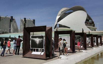 La exposici&oacute;n del fot&oacute;grafo brasile&ntilde;o en la Ciudad de las Artes y las Ciencias.