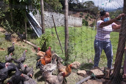 Andri Zuleny Pegui en los terrenos del NAR de Mandivá, en el norte del Cauca. Ella es presidenta de la cooperativa formada por excombatientes Comamce y ha decidido irse con sus compañeros tras ser amenazada. Pincha en la imagen para ver la fotogalería completa. 