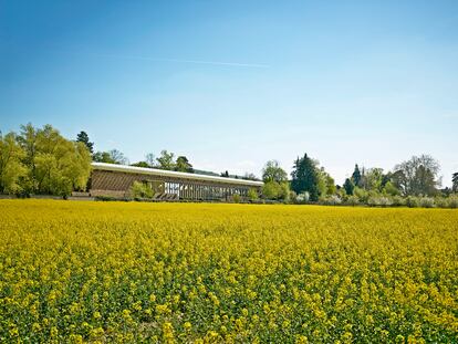 El jardín de la Fundación Beyeler en primavera.