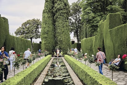 Una vista de los jardines del Generalife. Los animales han vuelto a las albercas y se pueden ver, por ejemplo, anfibios y libélulas.