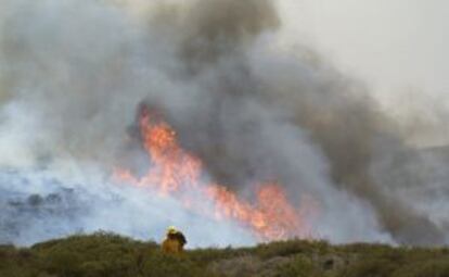 Un bombero ayer junto a las llamas del incendio forestal declarado en Alajeró (La Gomera).