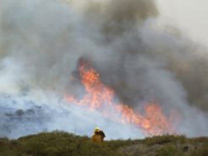 Un bombero ayer junto a las llamas del incendio forestal declarado en Alajer&oacute; (La Gomera).