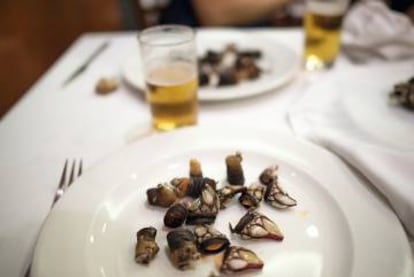 Plato con restos de percebes del restaurante Abuín, cocinados a la manera tradicional: hervidos en agua salada o, mejor, en agua de mar.