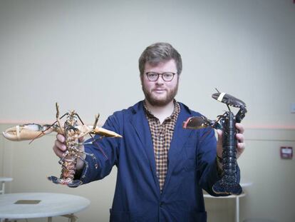 Lobsterie (Gravina, 17): Arnaud uno de los dueños con sendos bogavantes en las manos