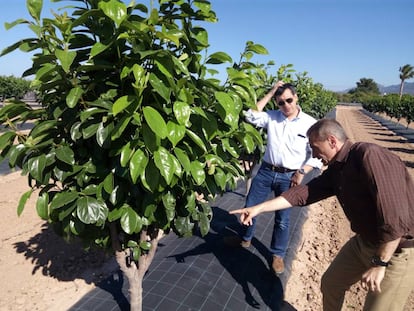 Carlos Palomar, de AEPLA, y Jenaro Avi&ntilde;o, de AVA-ASAJA, en Sinyent.