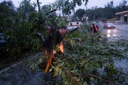 Habitantes del municipio de Yauco despejan un camino que estaba cubierto por árboles caídos.