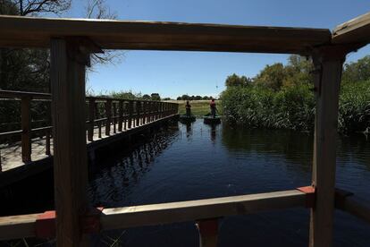 Actualmente el parque cuenta con 2.000 hectáreas, a las que el Ministerio de Medio Ambiente, Agricultura y Pesca quiere incorporar otras 1.000 adquiridas en la última década. En la imagen, vista del embarcadero.