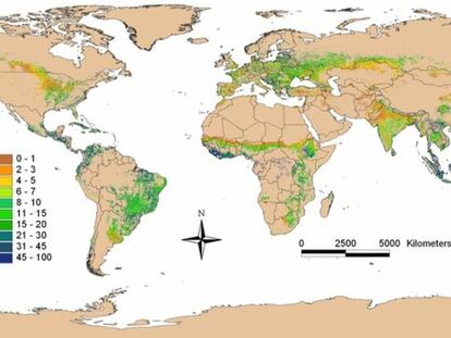 El mapa muestra el porcentaje de árboles en los terrenos cultivados en todo el mundo.