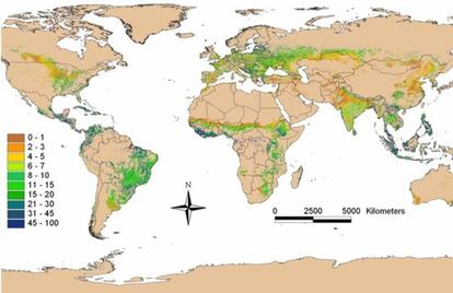 El mapa muestra el porcentaje de árboles en los terrenos cultivados en todo el mundo.