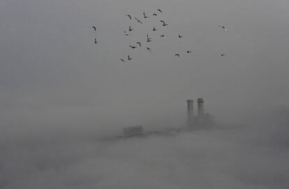 Una bandada de pjaros vuela sobre una nube de contaminacin en la ciudad china de Wuhan.