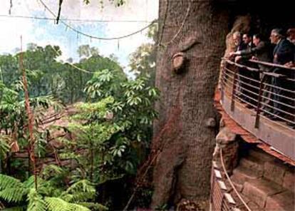 Luis Eduardo Cortés, Ruiz-Gallardón y Álvarez del Manzano observan desde una baranda la jungla tropical del Parque Biológico.