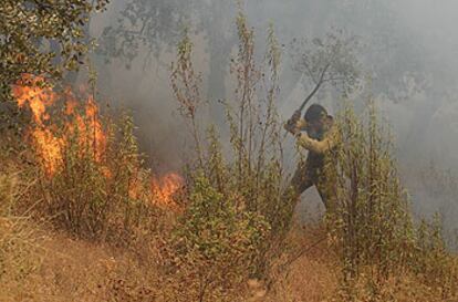 Un vecino de Berrocal, en el término municipal de Huelva, participa en las labores de extinción del fuego.