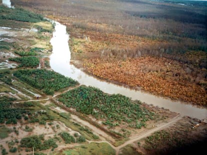 La imagen, tomada en noviembre de 1962, muestra el efecto del agente naranja en la margen derecha del río.