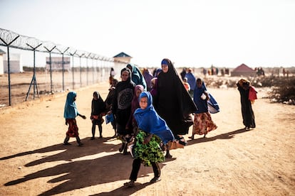 Una familia camina junto a la alambrada que rodea el campamento para desplazados de Ladan, en Dolow.