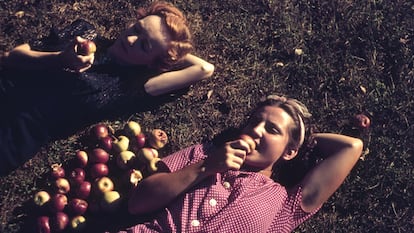 Las manzanas son la base para elaborar sidra.