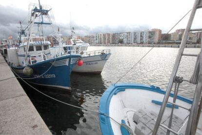 Barcos de pesca, atracados ayer en el puerto de Algeciras.