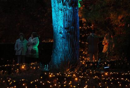 “Es un jardín mágico”, continúa Barros. La propuesta se centra en lo visual, pero abarca “todos los sentidos”. A las luces les acompañan música navideña y música clásica; y hay incluso un árbol que huele a caramelo quemado.