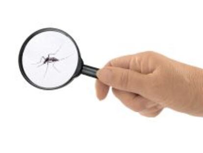 Claves para invertir con conocimiento de causa