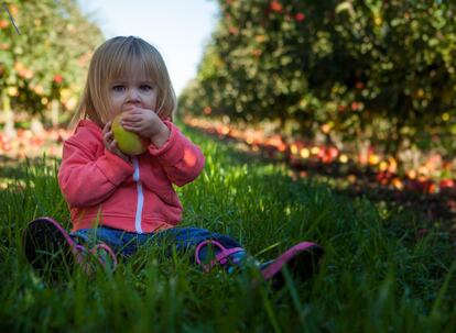 Una niña come una manzana.