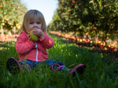 Una niña come una manzana.