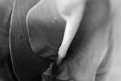 Fotografía incluida en el libro 'Atlas', de Alba Cid.